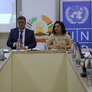Проведение второго заседания технической рабочей группы по теме "Обеспечение эффективного процесса Национального плана адаптации к изменению климата для Республики Таджикистан”