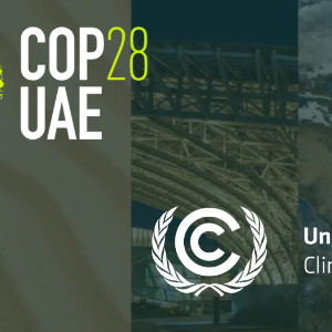 Organization of the 28th Conference of the Parties to the United Nations Framework Convention on Climate Change (COP-28)