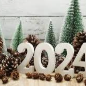 HAPPY NEW YEAR 2024 DEAR COLLEAGUES!