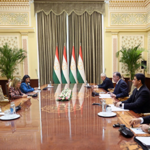 Meeting with the Secretary-General of the World Meteorological Organization Ms. Celeste Saulo