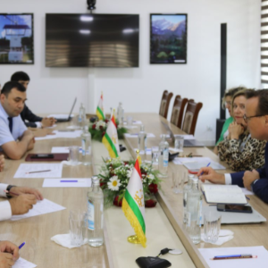Meeting of the management of the Agency for Hydrometeorology with the Secretary General of the World Meteorological Organization (WMO), Professor Celeste Saulo