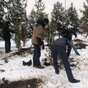 Расширение работ по благоустройству и озеленению