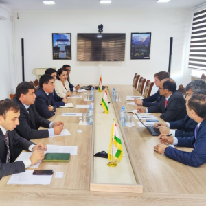 Мулоқот бо намояндаи махсуси Дабири кулли СММ оид ба коҳиши хатари офатҳо